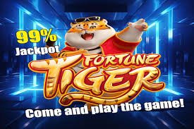 Innwa8 ဘင်ဂို Features — Auto-Daub, Live Chat, Free Cards နှင့် MMK Jackpot ဘင်ဂိုကစားမှု